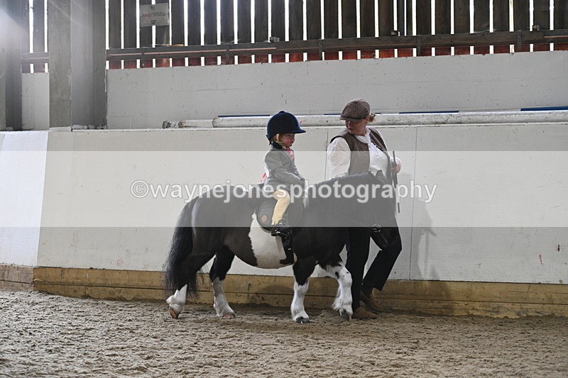 WJ7_4450 - Afternoon Champs