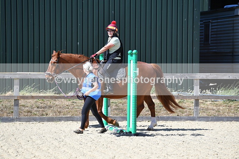 WJ5_4904 - Poles on the Floor