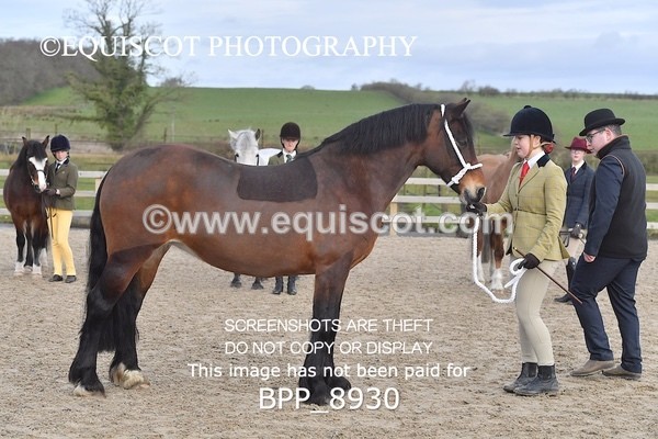 BPP_8930 - RING 2 - M&M