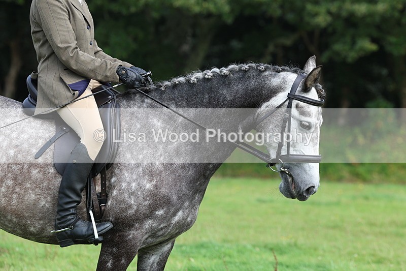 3E7A6022 - Class 28: 75cm Working Hunter