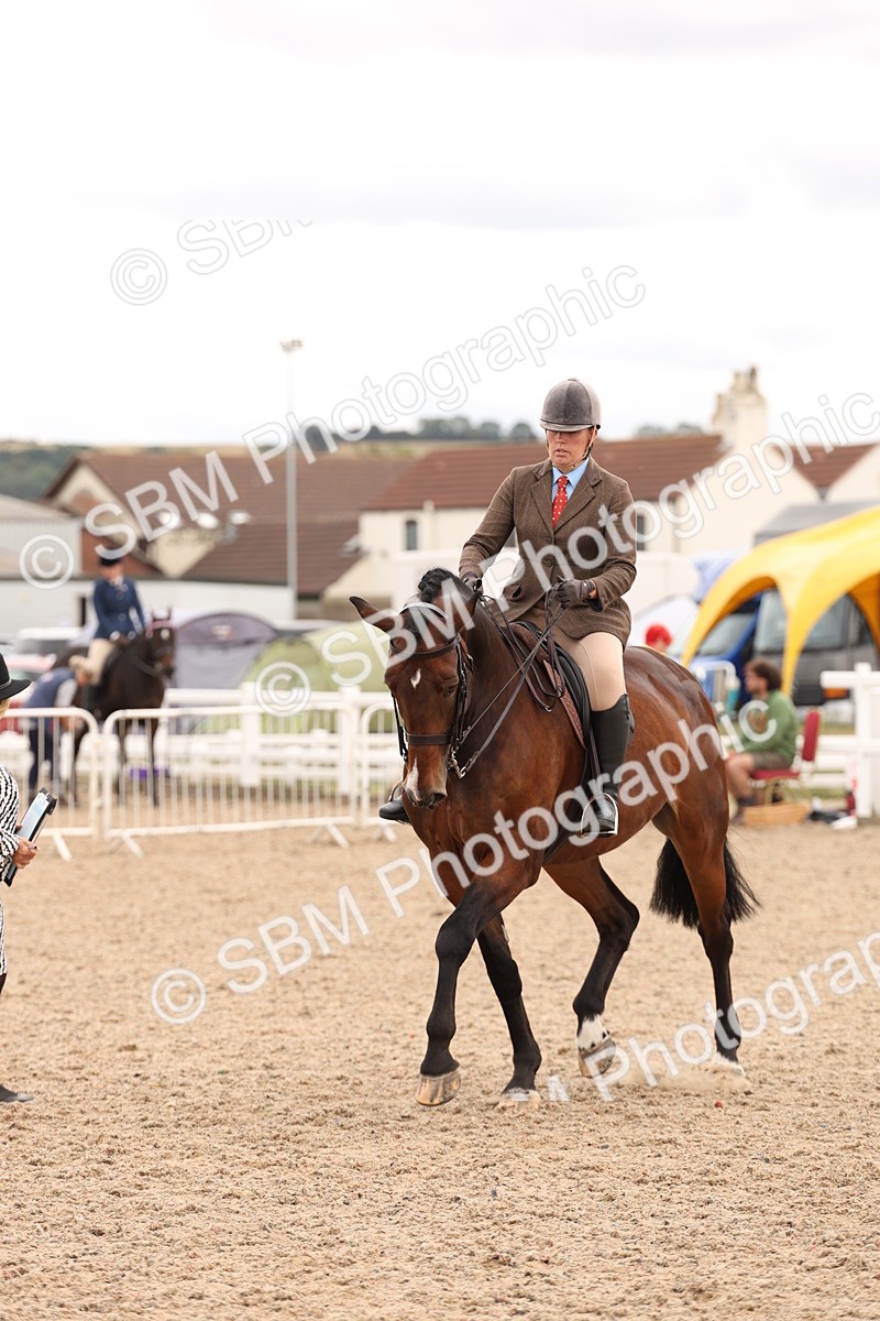 SBM_17228 - Class 213 - Ridden Hunter - Large