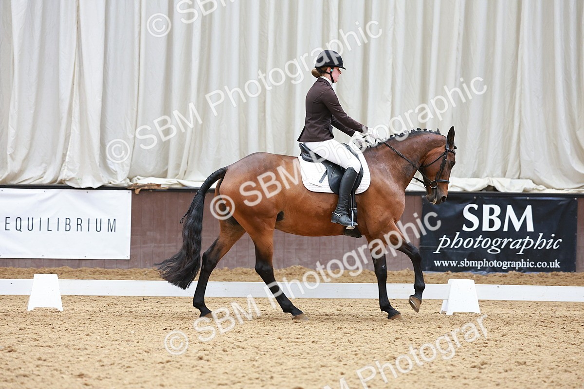 SBM_007578 - Class 4-5-6 - Prel 3-Novice 2-Ele 2