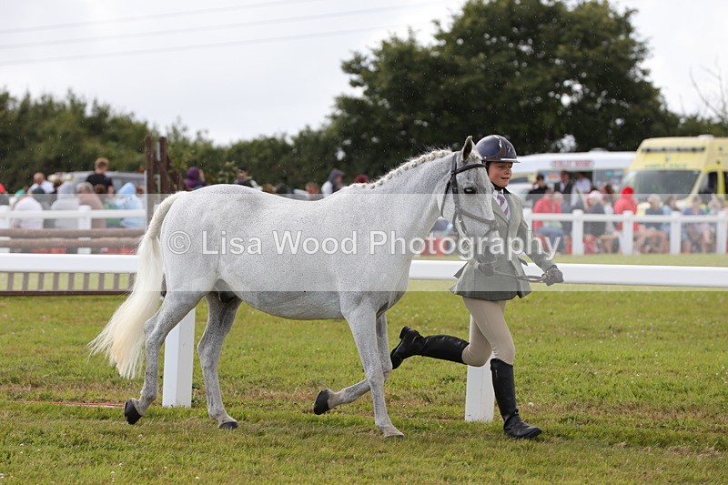 1X9A4935 - Class 35: Veteran In Hand