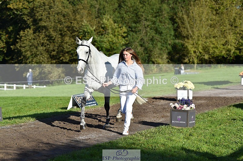 231022-101222-22303 - 479-CRUISING.STARLIGHT-Ava.Mae.West-TrotUp+SJ