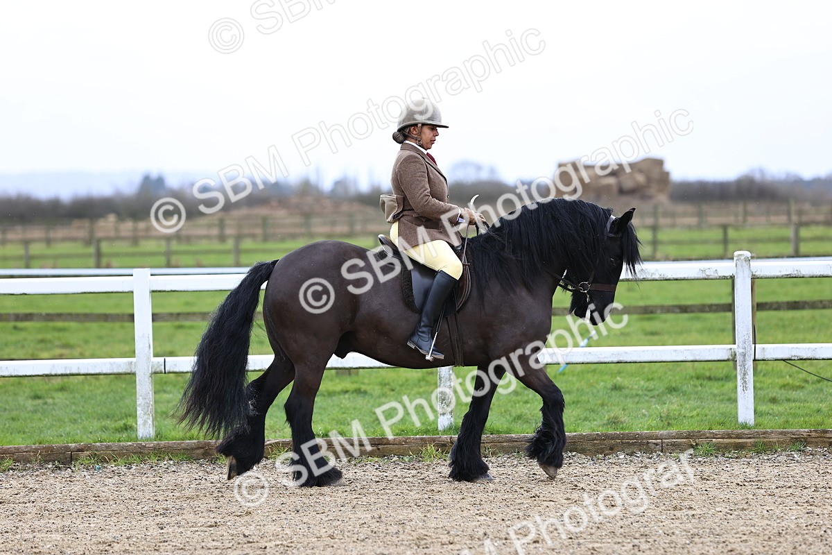 SBM_006887 - Class 29 - 30 - M&M Pure Novice Small-Large Breeds