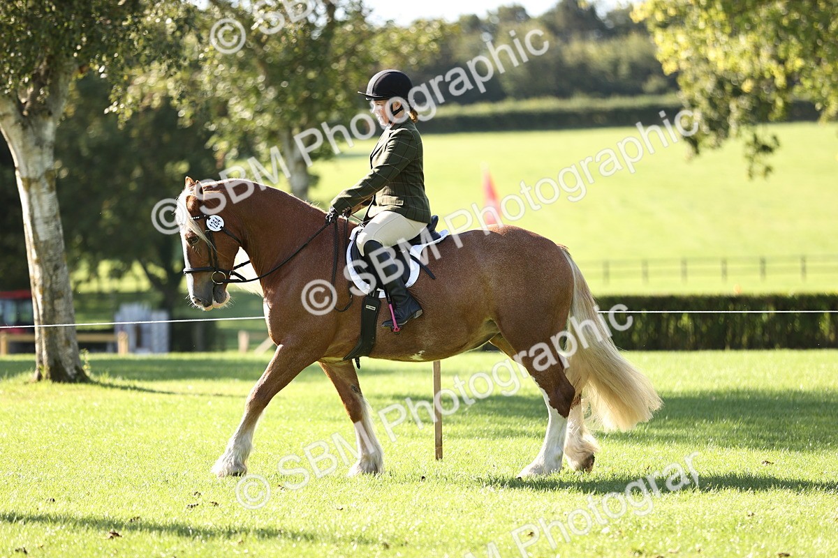 SBM_16918 - S2 - TSR Ridden Pony Showing