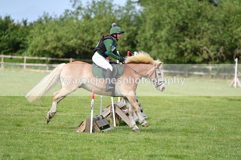 WJ5_2323 - Class 2 40cm