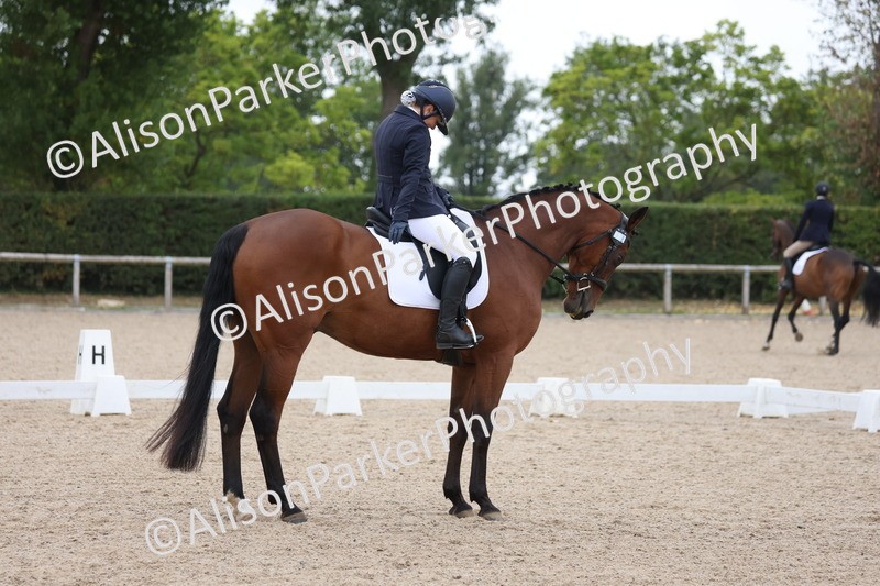 20250820-0393 - Class 11 - My Quest Novice 3