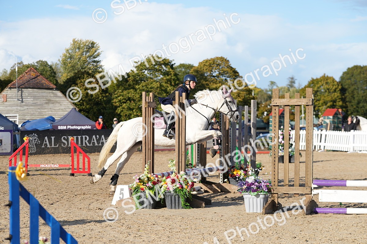 SBM_28950 - J43 - Horse & Hound Open 50cm