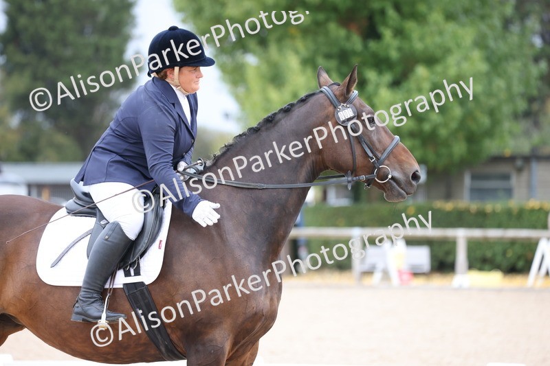 20250820-0095 - Class 7 - My Quest Intro 3