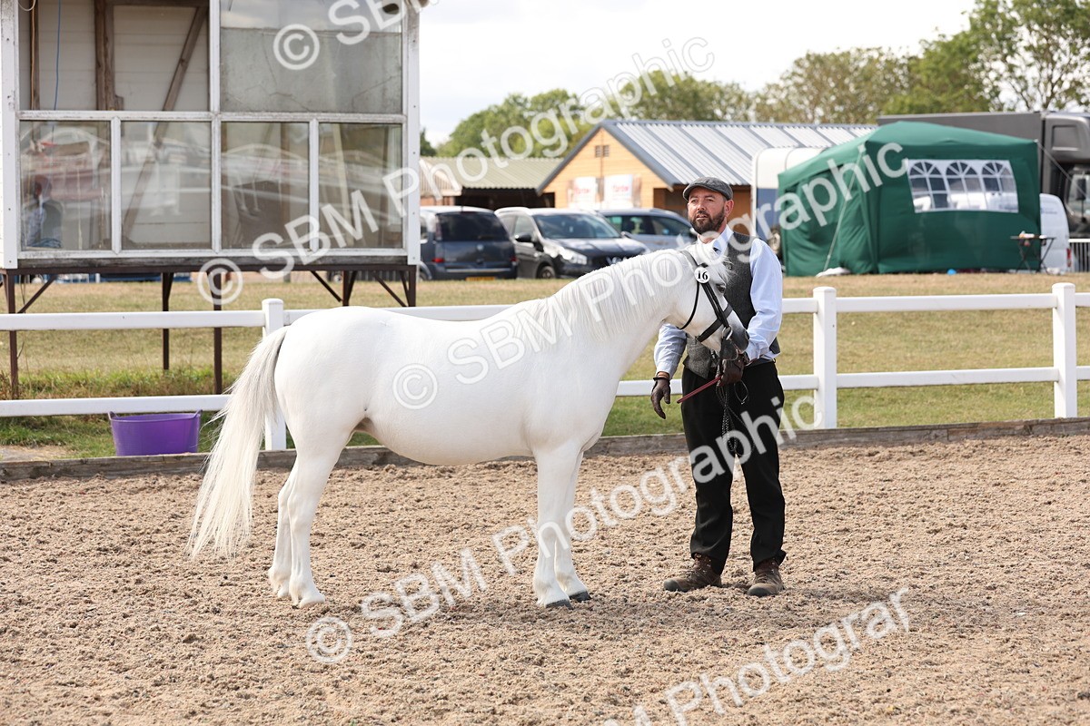 SBM_15047 - Class 209 - IH Veteran Pony