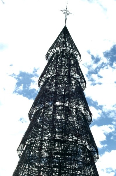 Sky high - Oh Xmas Tree