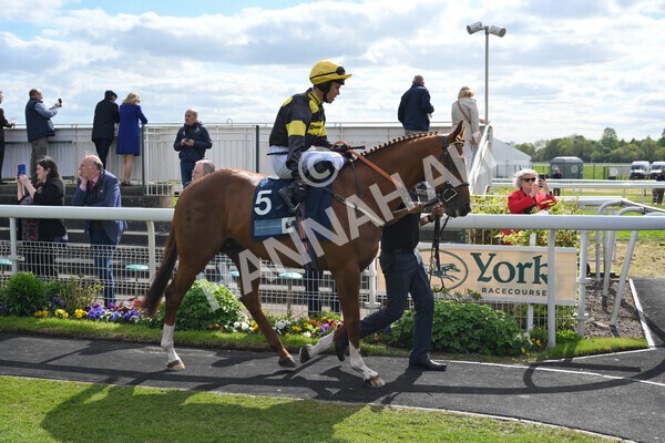 yr12052022r5-7 - Race 5 4.10pm British Stallion Studs EBF Westow Stakes