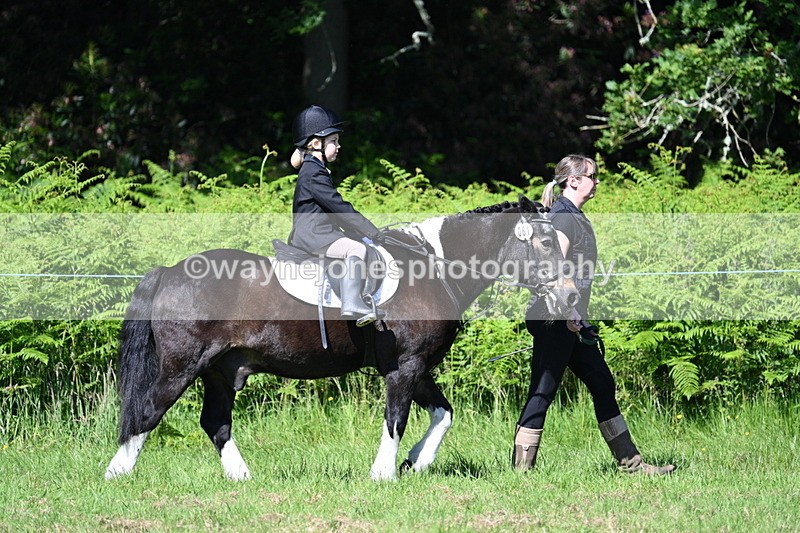 WJ7_0648 - Class 8 First Rally Pony