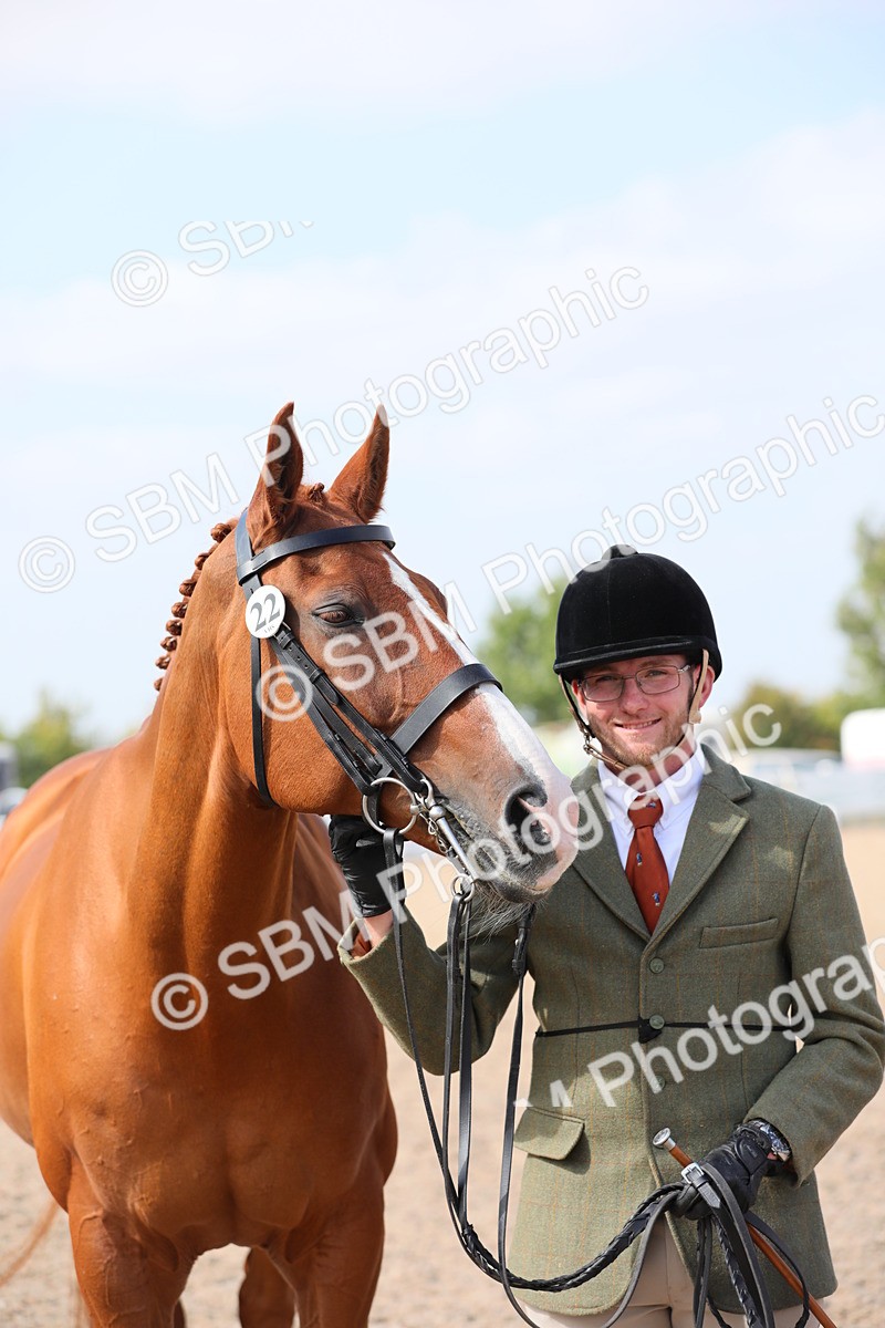 SBM_15760 - Class 312 IH Competition Horse/Pony