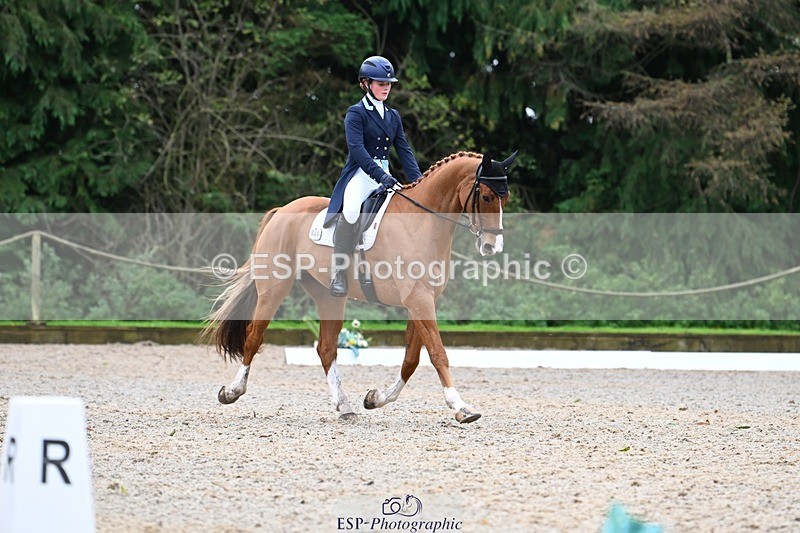 231019-130150-02911 - 049-AUGUSTUS.IMPERIOUS-Ines.Mitchell-DR