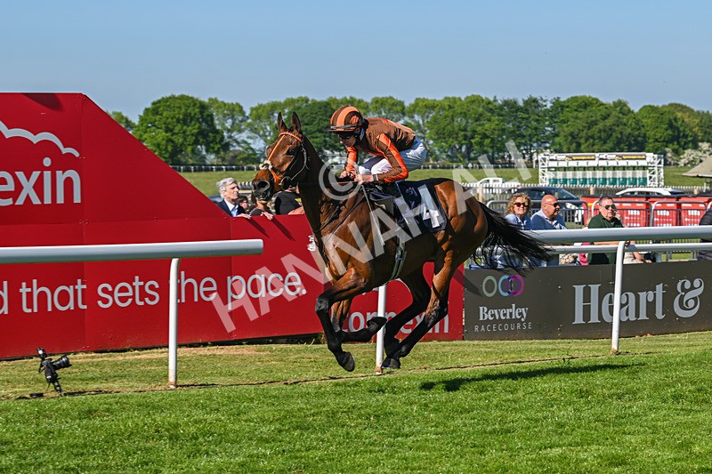 130525-Race 6-Analogical-0435 - Race 6