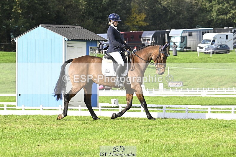 251023A-150740-04508 - E-386-Zara.Head