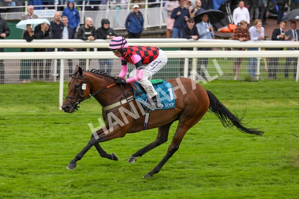 140723-Race 4-Andaleep-8587 - Race 4 3.50pm Azets Handicap