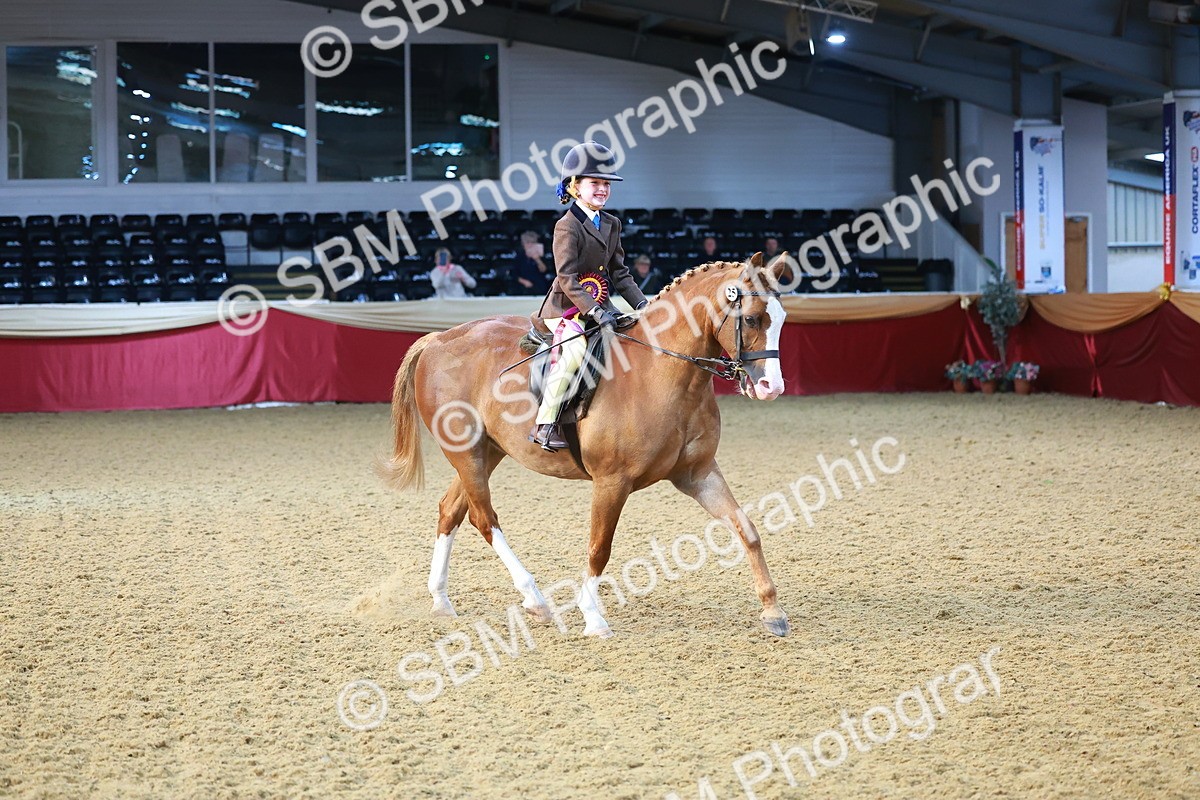 SBM_07770 - Class 101 - HOYS Veteran Qualifier - Ridden Diamond