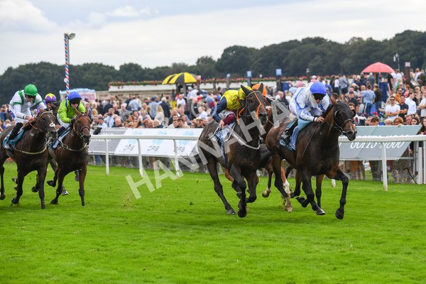 240823-Race 3-Ropey Guest-0383 - Race 3 3.00pm Clipper Handicap