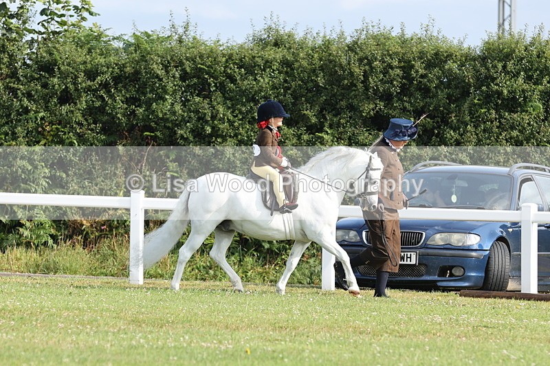 JPP_0492 - Class 14: Cornish Combination Leading Rein