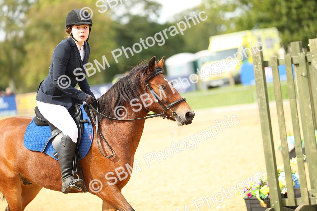 SBM_67194 - J17 - Junior Pony 80cm Championship