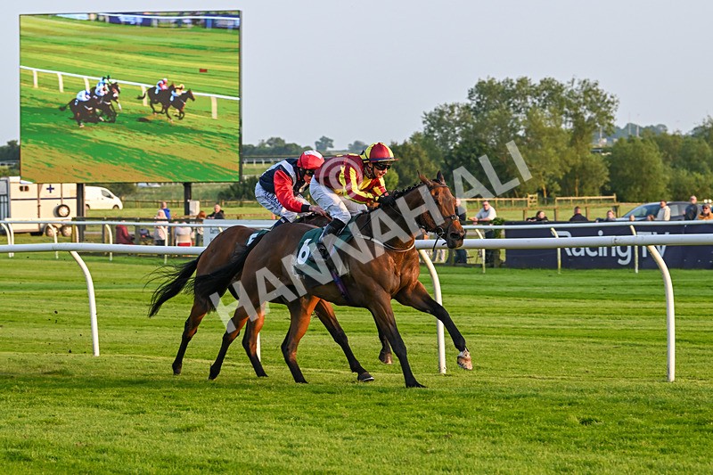 310524-Race 4-Albegone-8776 - Race 4