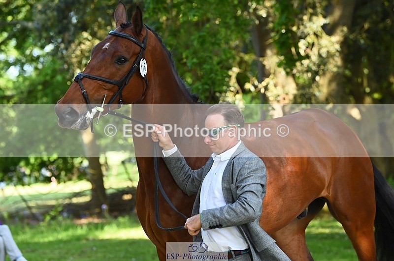 230524-164834-01104 - 116-MONBEG_DARWIN-Michael_Owen-WEDTrotUp+DR