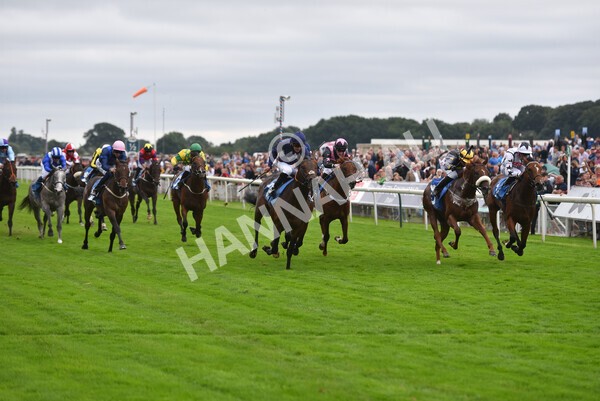 yr18082021r7-24 - Race 7 5.20pm Sky Bet Nursery Handicap