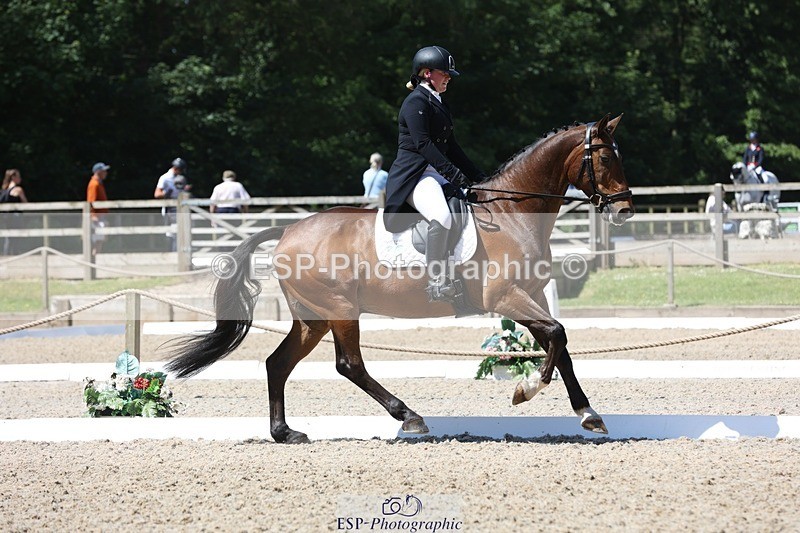 230526-114111-06094 - 154-GELUK_G-Molly_Adams-WEDTrotUp+DR