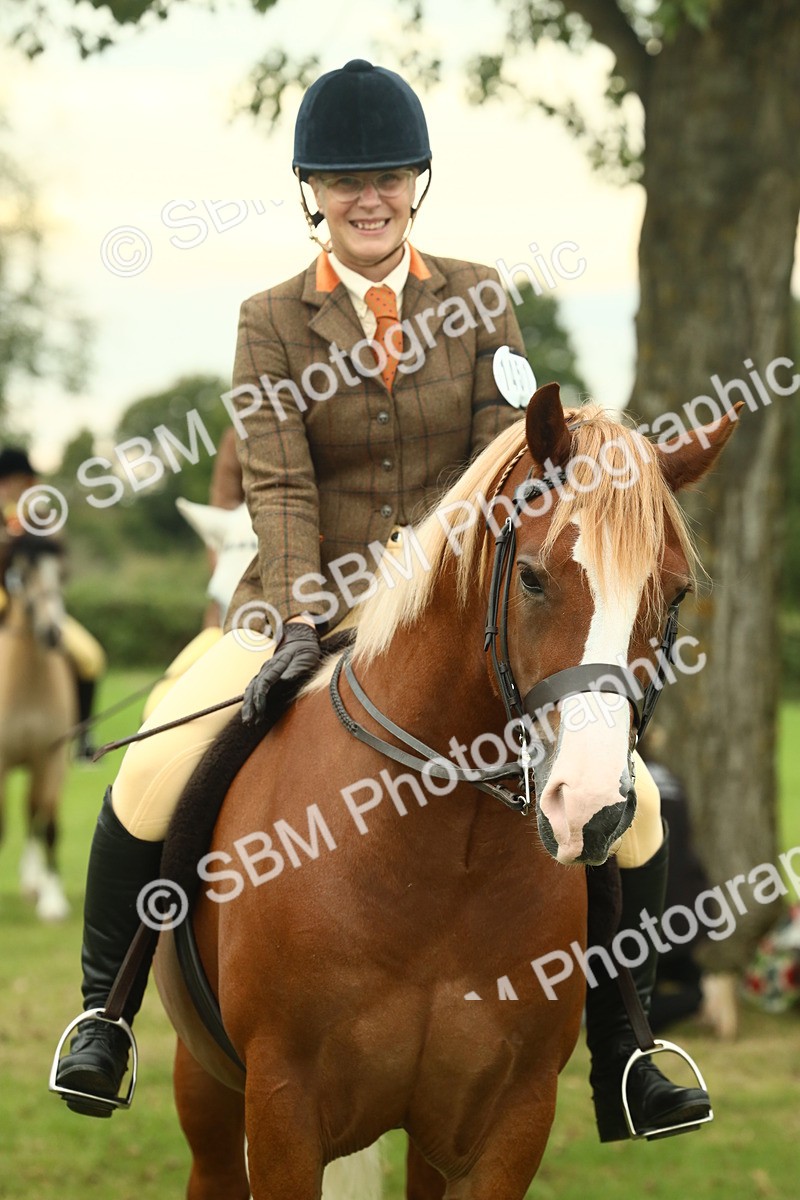 SBM_72288 - S60 - Mountain & Moorland Ridden Large Breeds