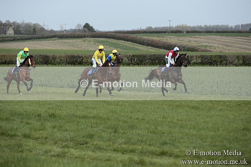 PtP 230319 11 - VWH Hunt Siddington Point-to-Point Racing 23/03/19