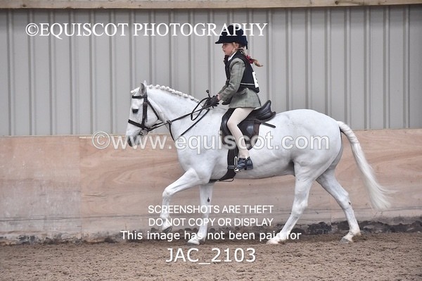 JAC_2103 - CLASS 1 Nursery Novice Working Hunter