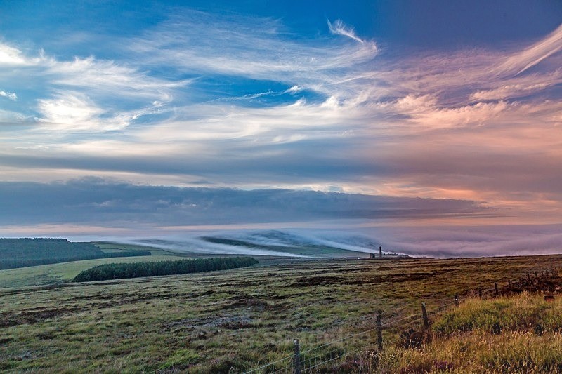 Snuff the Wind - Land of Man