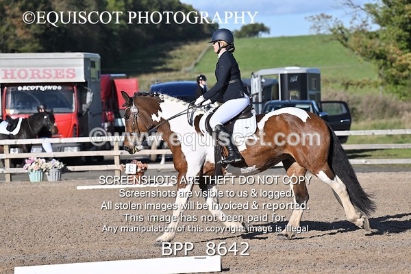 BPP_8642 - SHORT ARENA INTRO 3