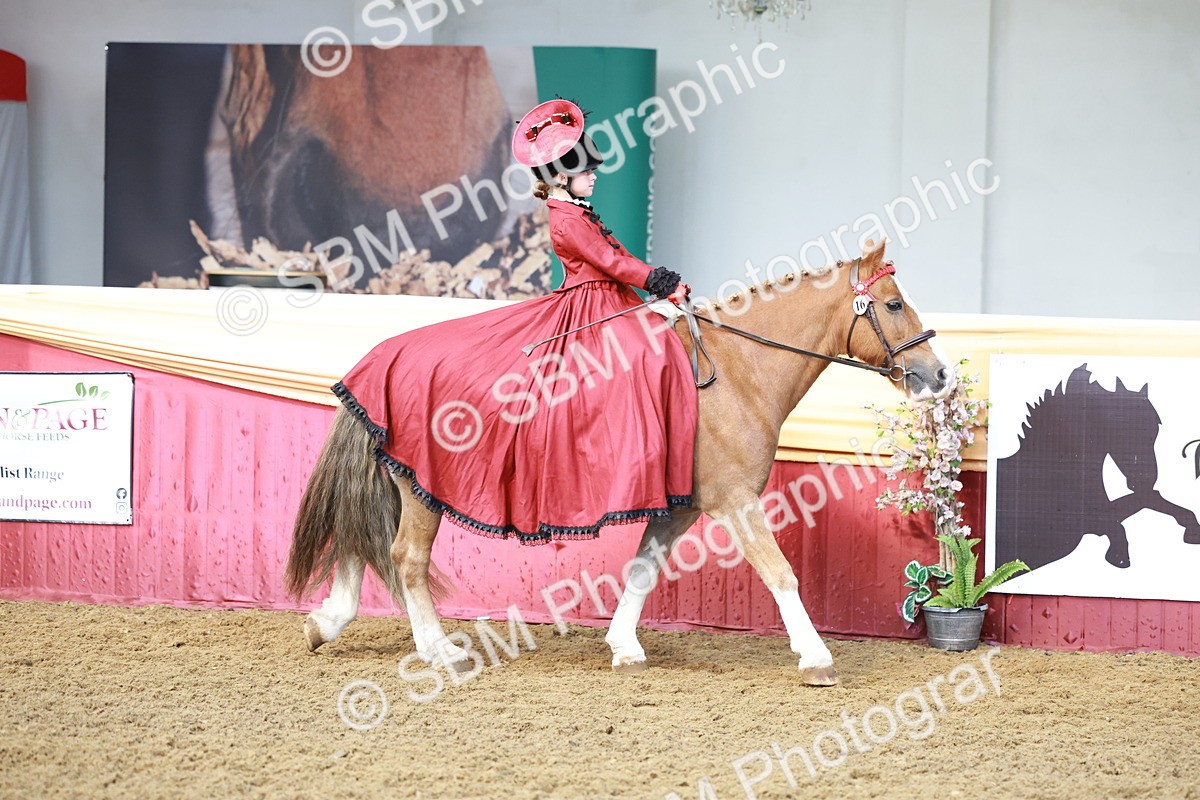 SBM_13400 - Class 104 - Ridden Costume - Astride Junior