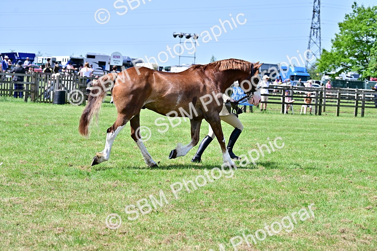 SBM_03916 - Class 58 - TSR  Ridden Veteran Amateur of the year