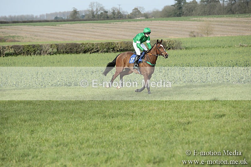 PtP 230319 463 - VWH Hunt Siddington Point-to-Point Racing 23/03/19