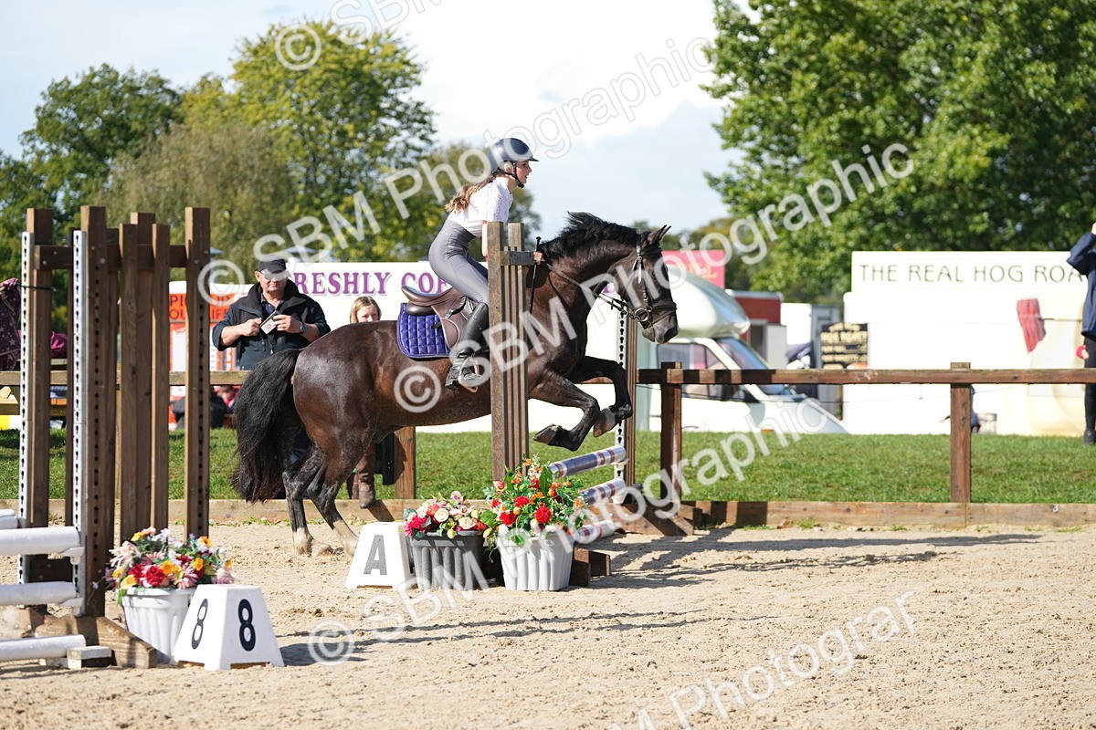 SBM_38207 - J6 - Junior Pony 55cm Championship
