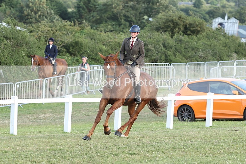JPP_3767 - Working Hunter Championship