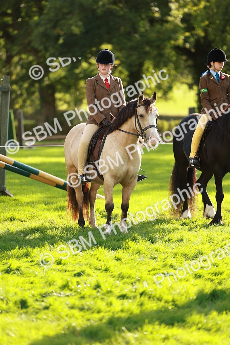 SBM_28690 - S7 - Novice & Newcomer Ridden Pony