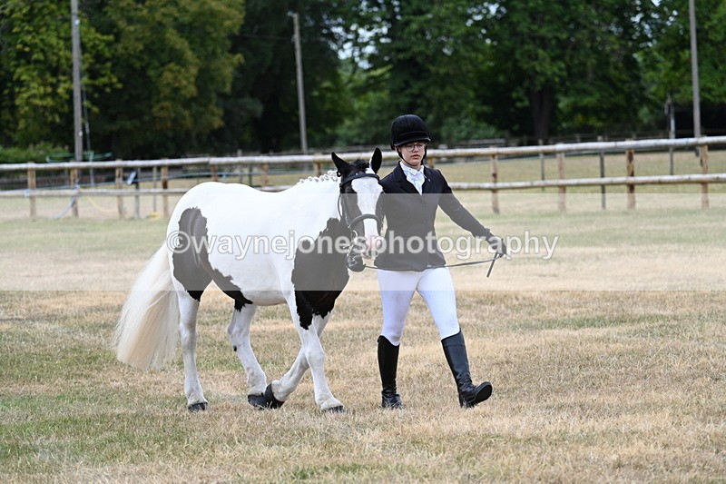 WJ7_1461 - Class 4 Prettiest Mare up to 14.2hh in hand