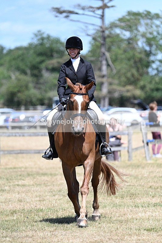 WJ7_3028 - Class 7 Riding Club Show Horse