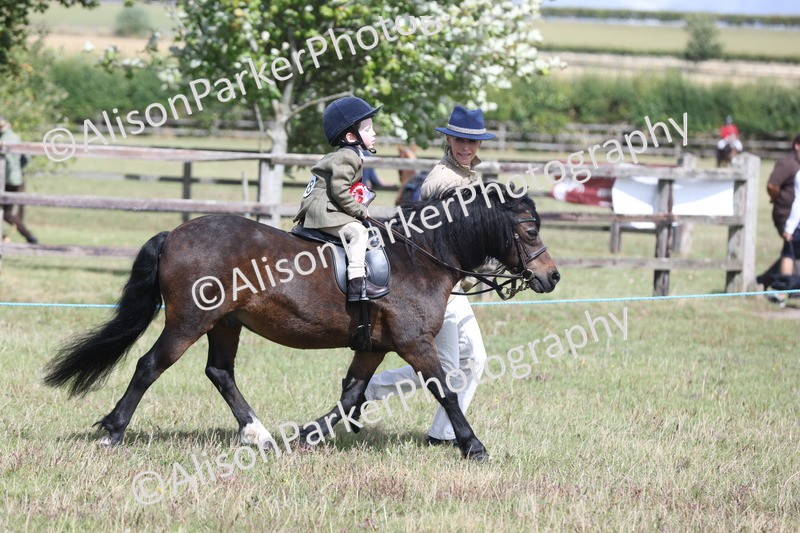 20250831-2771 - Class 17 - Lead Rein Pony