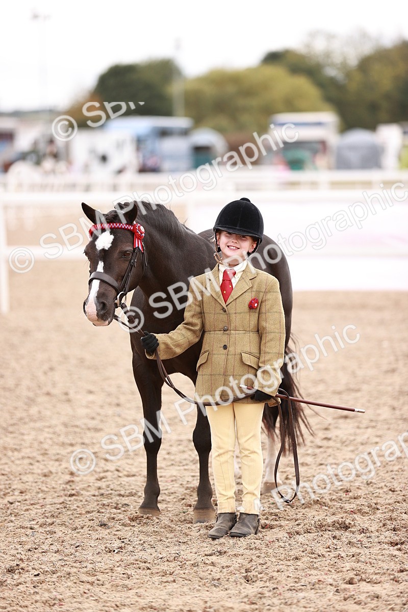 SBM_18558 - Class 421 - Childs Best Friend - Jnr