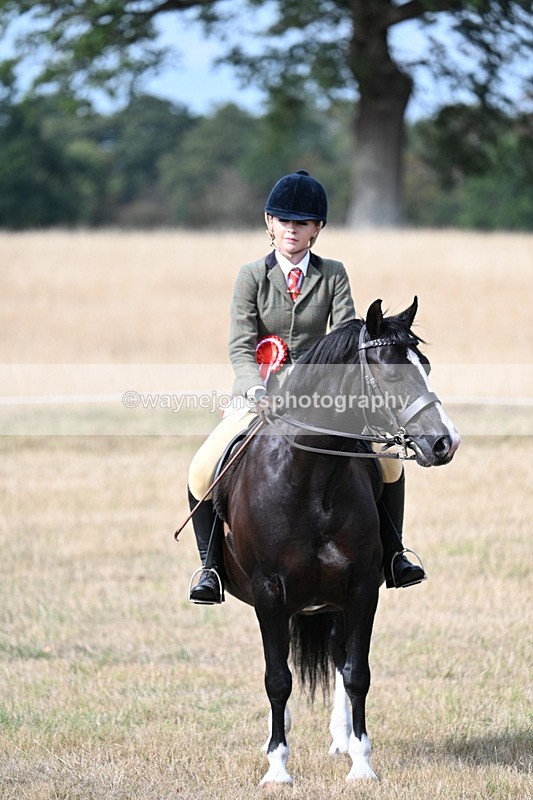 WJ7_7826 - Ridden Championship