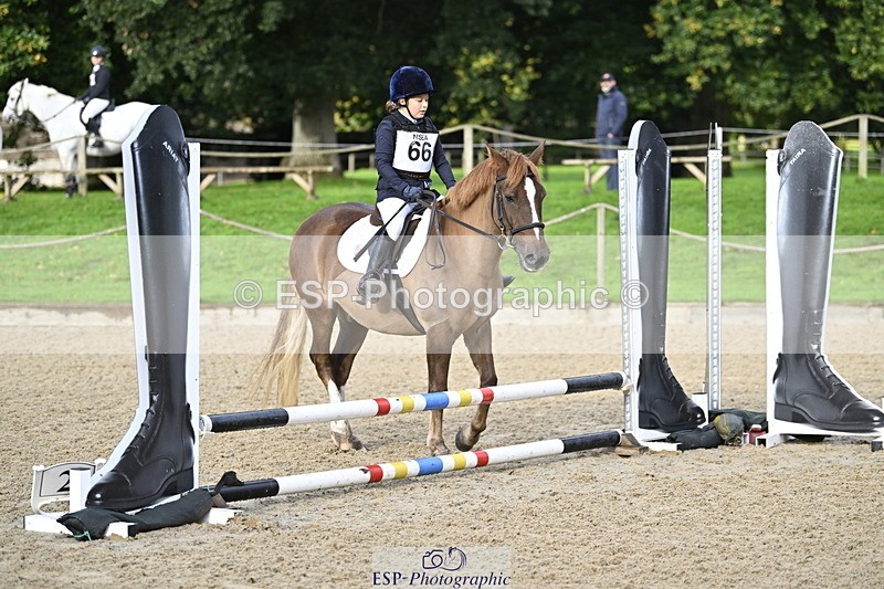 251005A-090150-02915 - Cls 02 GR 50cm