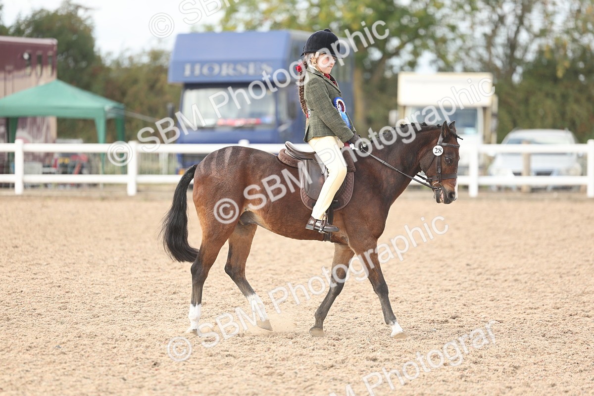 SBM_15939 - Class 310 - First Ridden Pony
