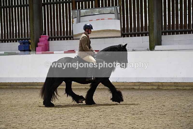 WJ5_8607 - Class 14 Novice Ridden/Rider